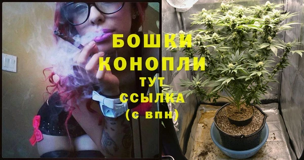 тгк Нефтекумск
