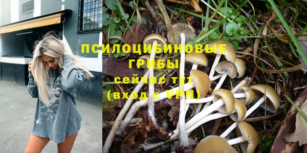 тгк Нефтекумск